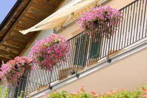 Blumen am Balkon