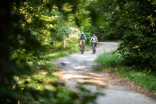 Gemütlicher Radweg bei Eppan